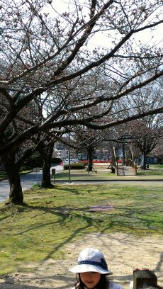 rblog-20140403084834-01.jpg