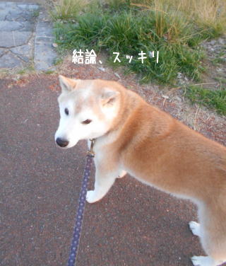 0313夕3.jpg