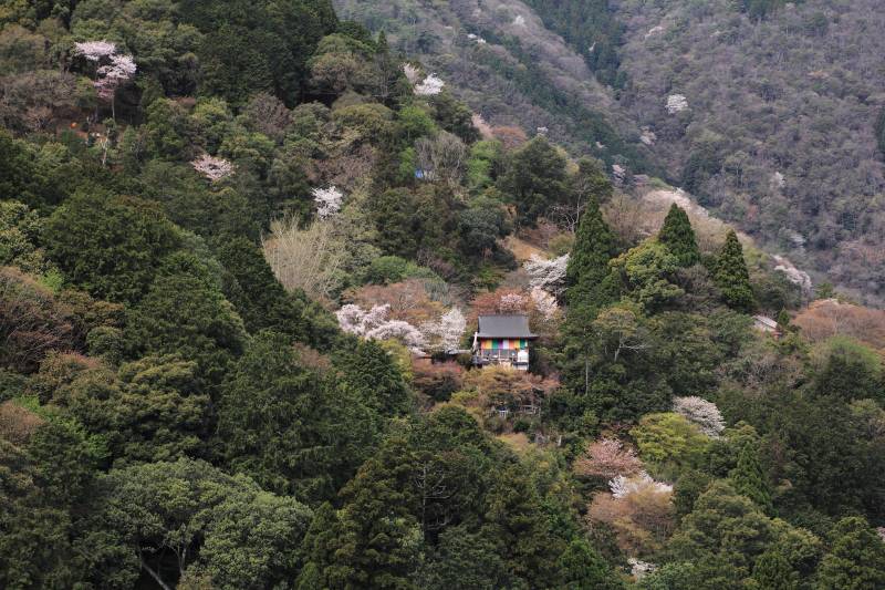 亀山展望台（第一）_003.jpg