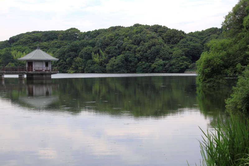 山田池公園_002.jpg