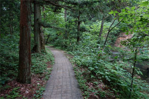 佳松園165.jpg