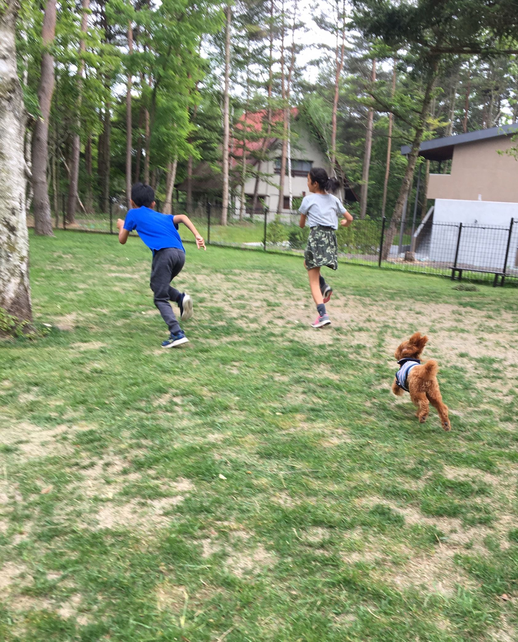 ふるさと納税・申込み★大分県国東市「みかん」 イエ to コドモ 楽天ブログ