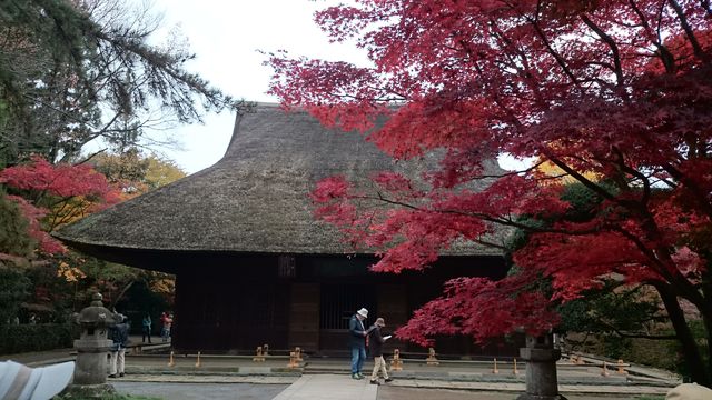 2015-11-22 09.11.59.jpg