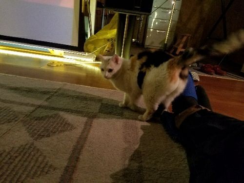 rblog-20180408092422-07.jpg