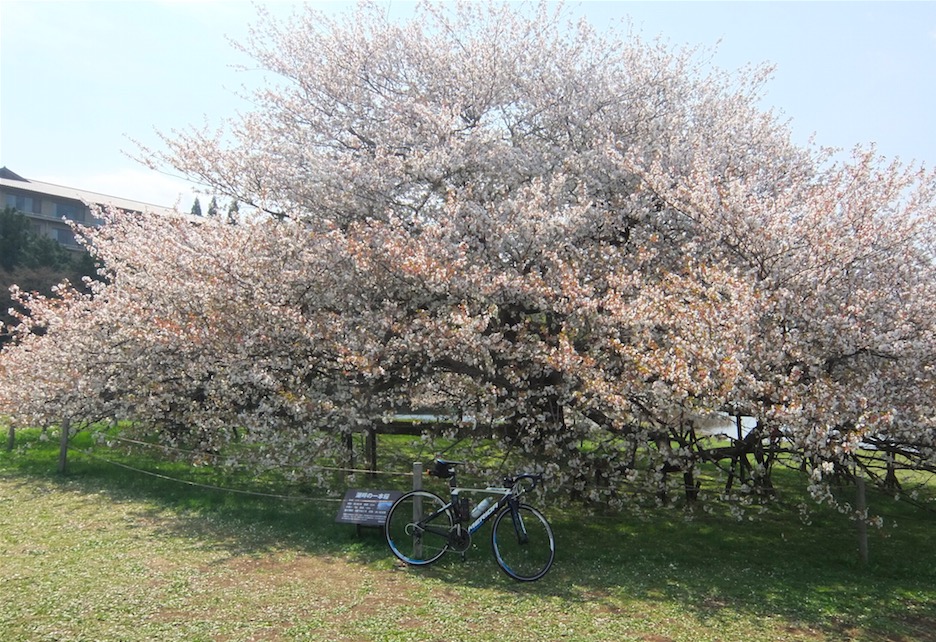 スクリーンショット 2015-04-26 20.52.48.jpg