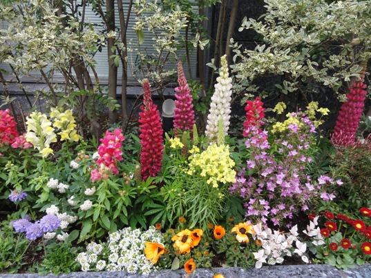 ビルの花壇３.jpg