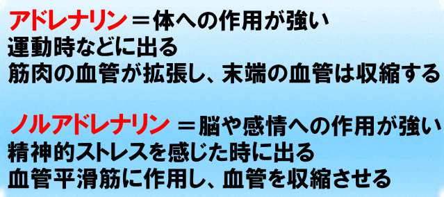 と ノルアドレナリン アドレナリン