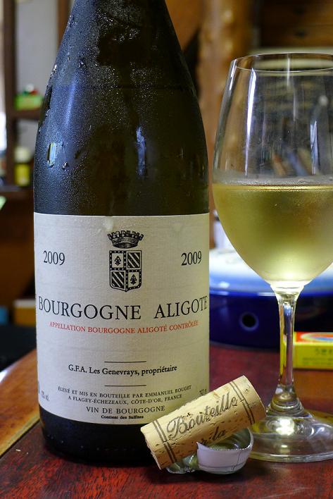 P1000982.JPG