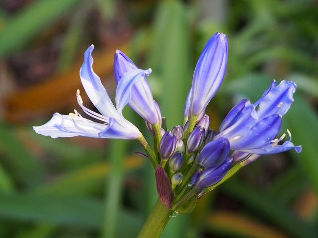 P2270211.jpg