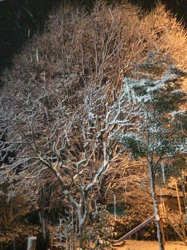 rblog-20141226072038-02.jpg