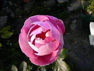 DSC_0374.jpg