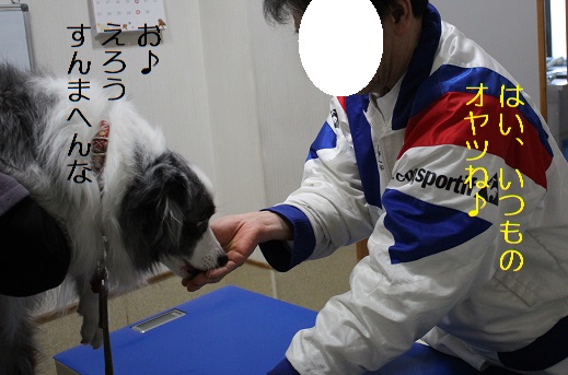 おやつ