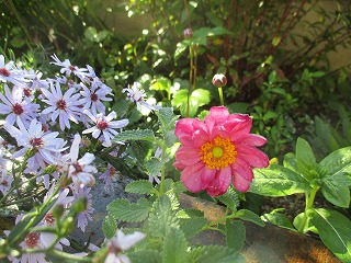 IMG_1228ss.jpg