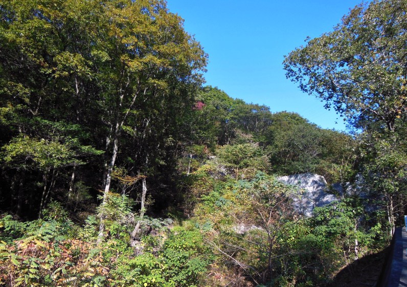 登山口