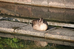 E7D_9173-3.jpg