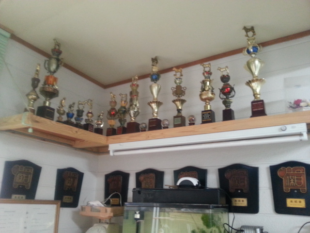 20150419_131212.jpg