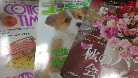 rblog-20131125141331-01.png