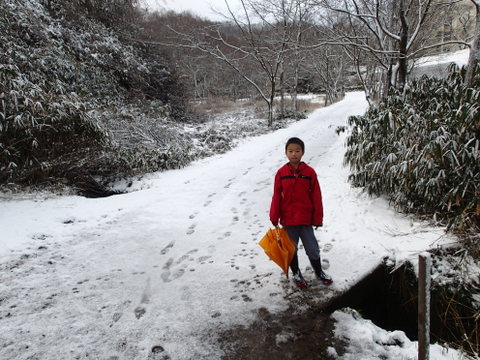 nitijou131228009