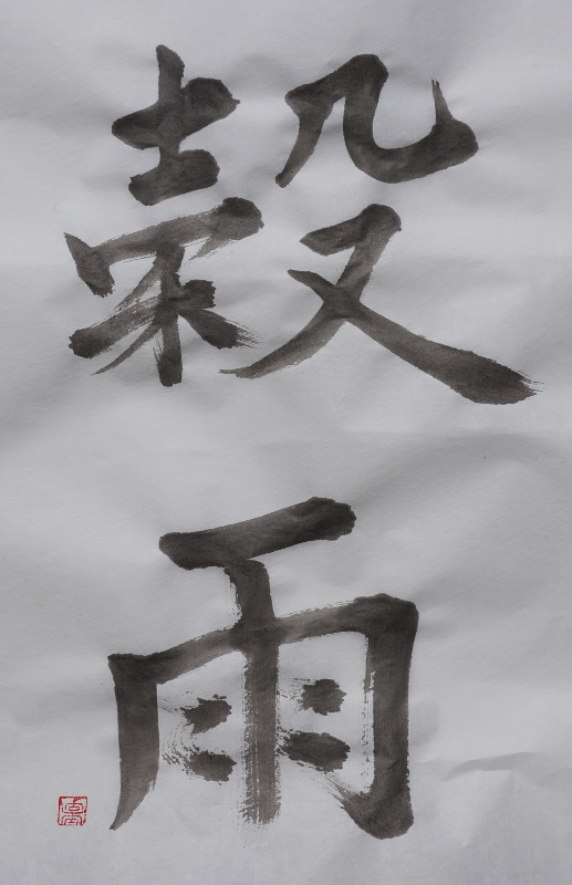 穀雨の書 (517x800).jpg