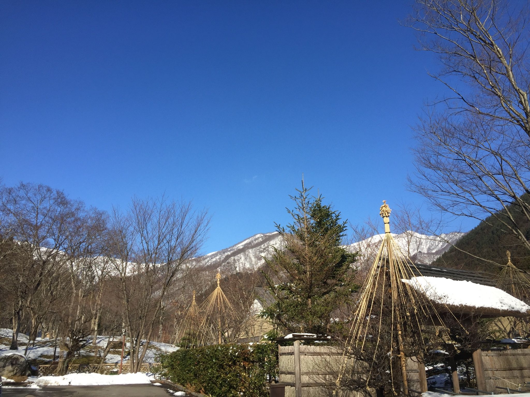 2015の同アングル.JPG