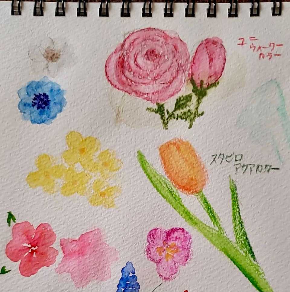 水彩色鉛筆 しろまろんのこころ色ブログ 塗り絵と色鉛筆 楽天ブログ