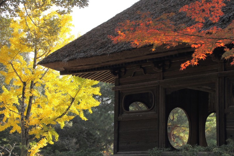 奈良公園・飛火野_002.jpg