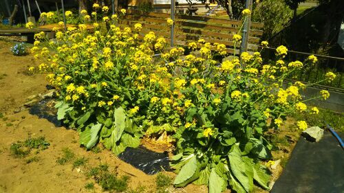 rblog-20180409234228-03.jpg