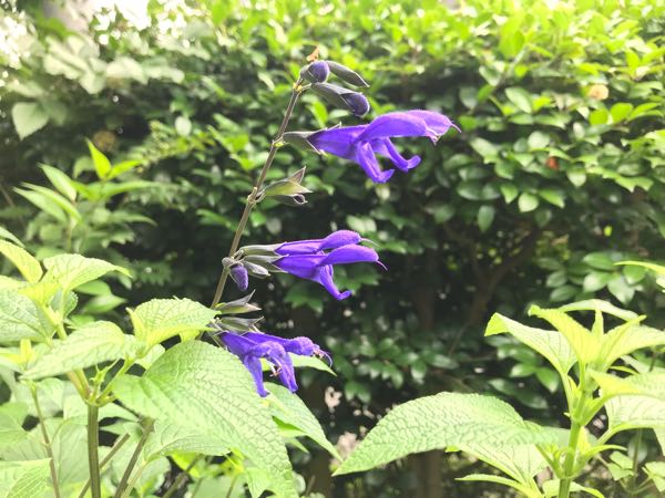 rblog-20180628172024-09.jpg