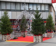 IMG_5345-20.jpg