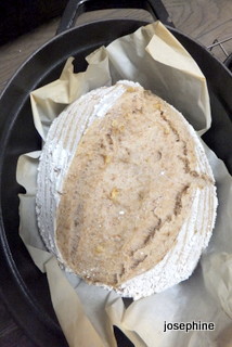 DSCF8462.JPG