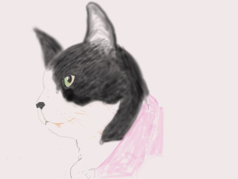 ちぃさんの絵を描いてみた 猫とおやじの日記帳 ちぃ こっちおいで 楽天ブログ