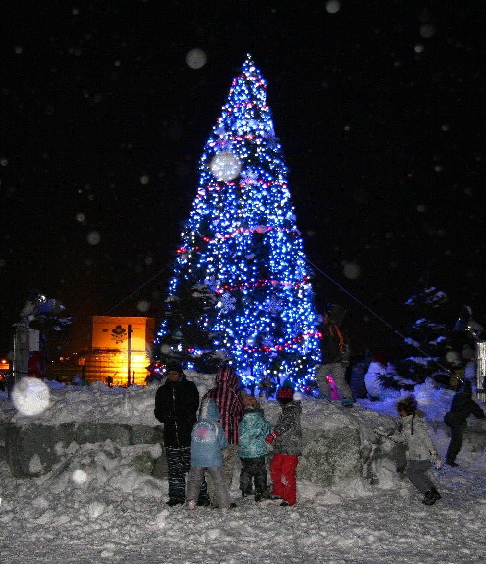 クリスマスツリー