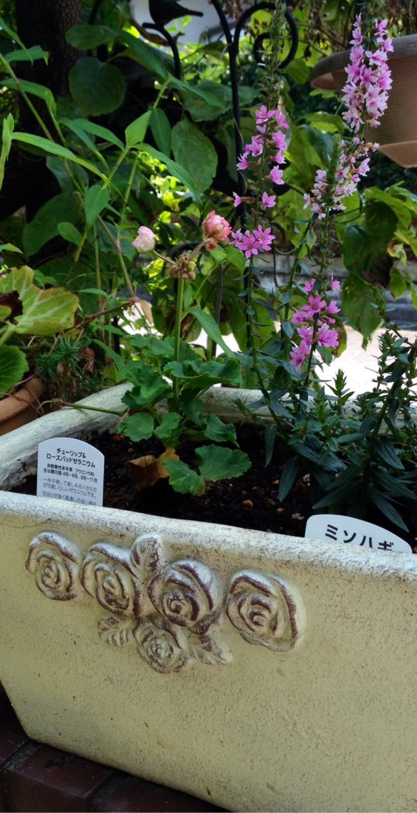 rblog-20140725145027-00.jpg