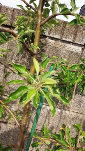 rblog-20140507082322-01.jpg
