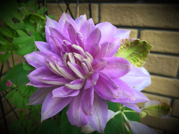 rblog-20160427174731-06.jpg