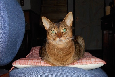 DSCN0213.JPG
