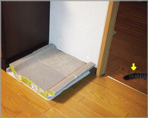 遂に増設