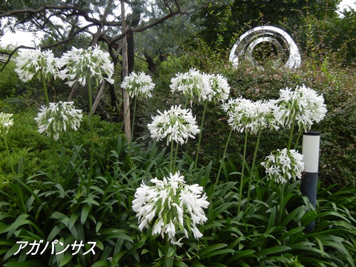 池上本門寺にて