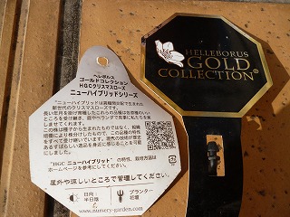 P1020822ss.jpg