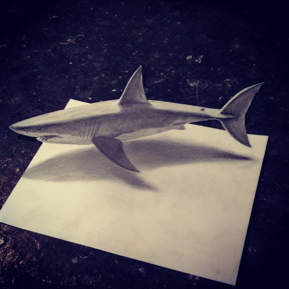 新着記事一覧 ヨッキーのサメ好きブログ 楽天ブログ