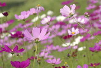 1024-768.jpg