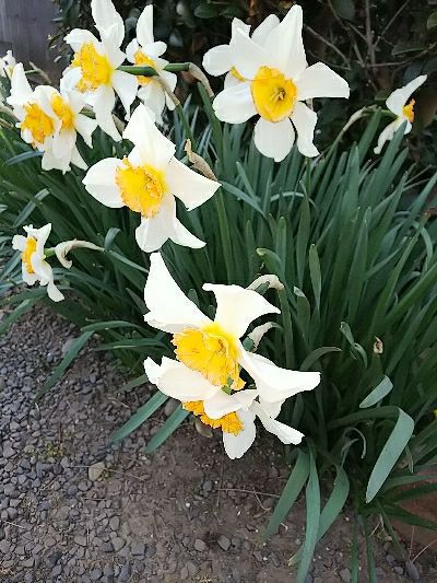 rblog-20180403162659-01.jpg