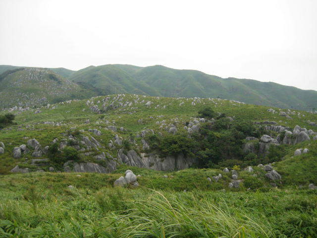 IMG_9590.JPG