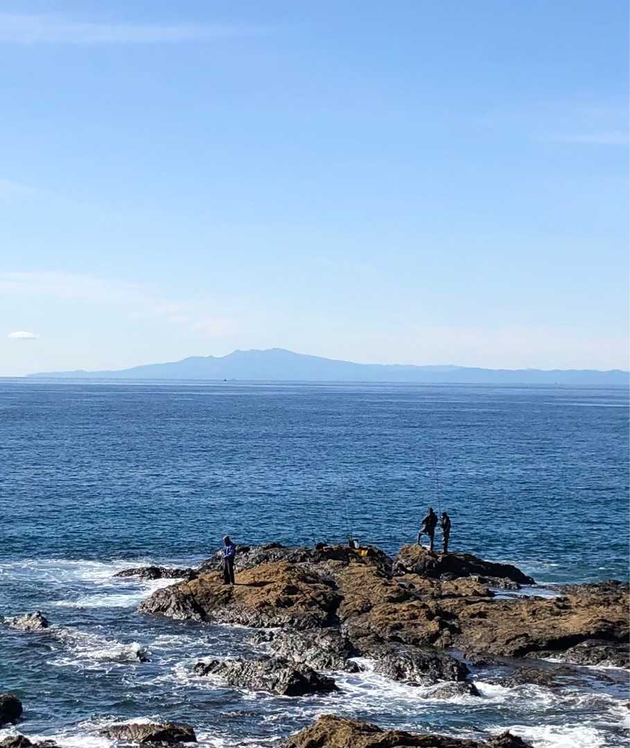 冬晴れの海と富士山 ローズマリーのポレポレ日記 楽天ブログ