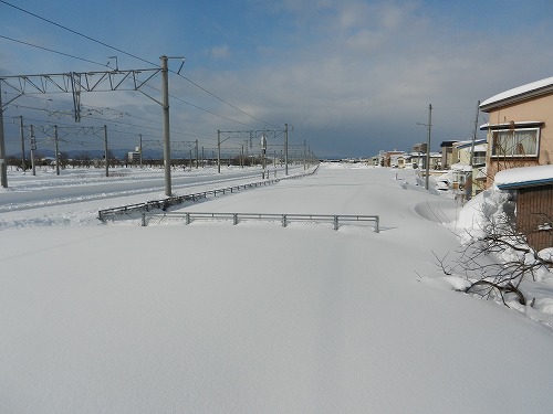 DSCN5781.jpg