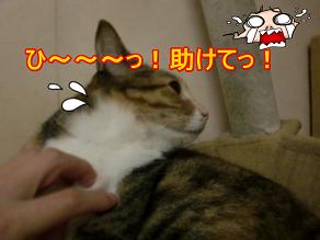 福ひいぃ.JPG