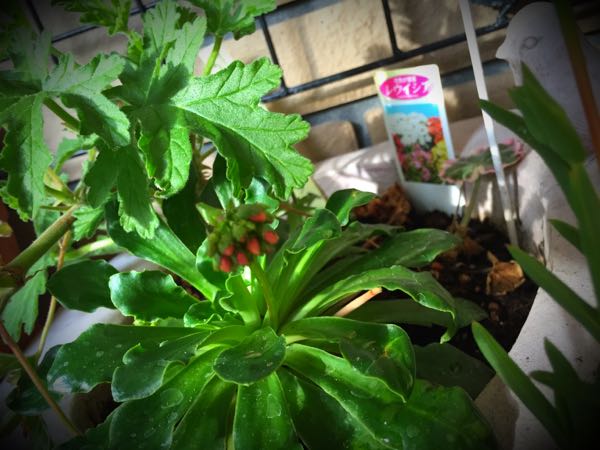rblog-20160330191005-03.jpg