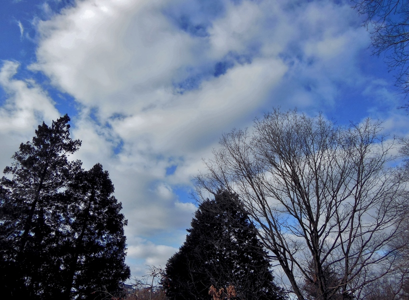 空 5.JPG