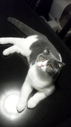 20140728153935.jpg