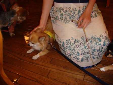 DSC00054.JPG